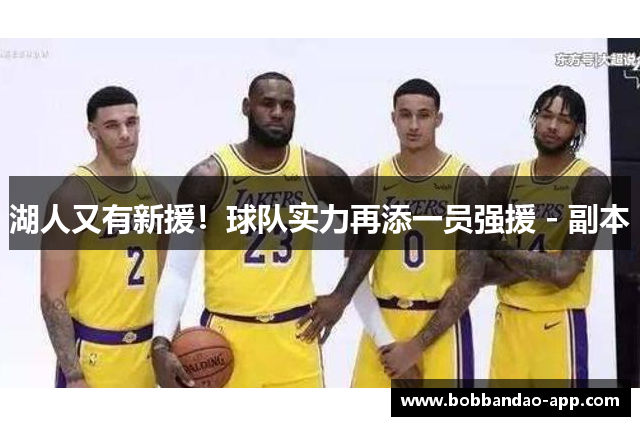 湖人又有新援！球队实力再添一员强援 - 副本