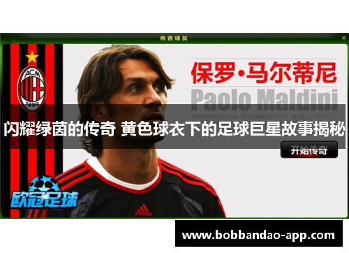 闪耀绿茵的传奇 黄色球衣下的足球巨星故事揭秘
